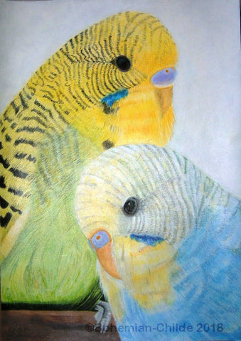 Original acrylic budgie painting,